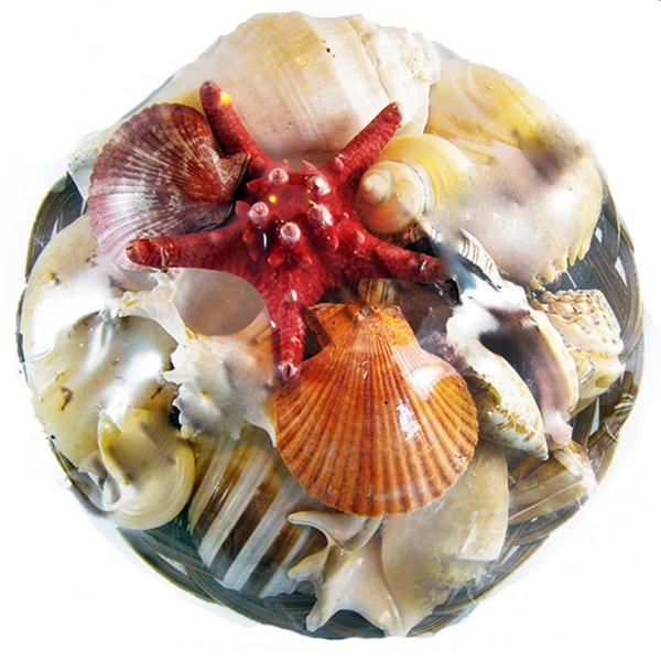 Kervan Fruit Of The Sea 12 İnç