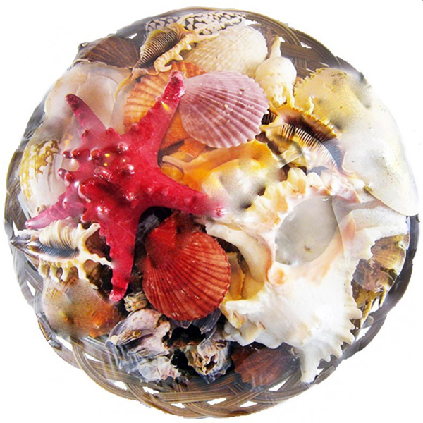 Kervan Fruit Of The Sea 35 CM