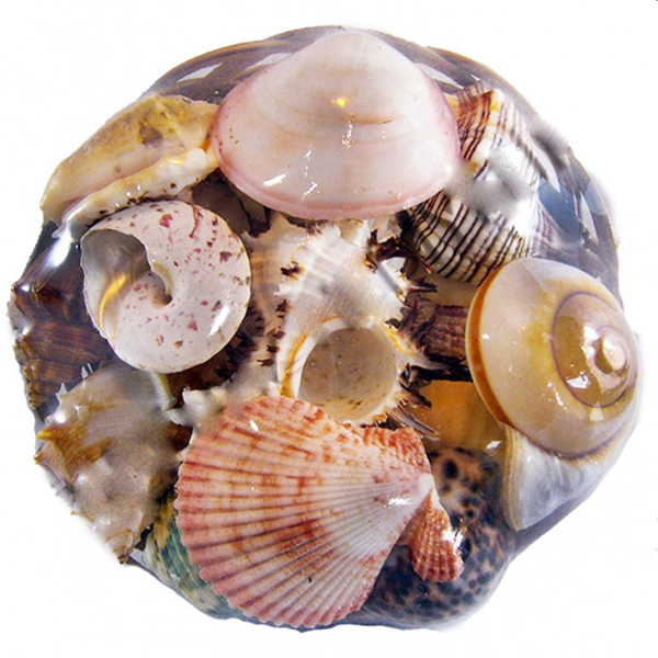 Kervan Fruit Of The Sea  20 CM