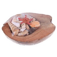 Kervan Coco Kabuk Sepeti 18-20 cm Arası