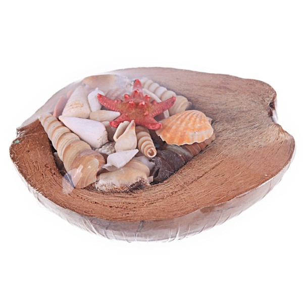 Kervan Coco Kabuk Sepeti 18-20 cm Arası