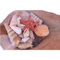 Kervan Coco Kabuk Sepeti 18-20 cm Arası