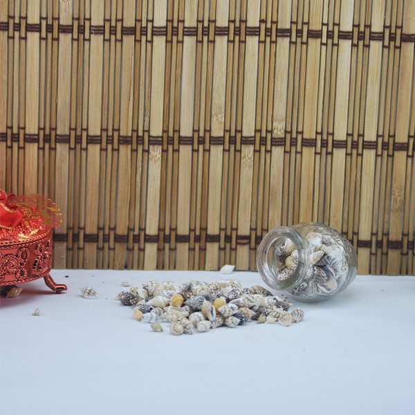 Kervan Karışık Minik Kiloluk Deniz Kabuğu (Şişe İçi İçin) (1 KG) Kervan Karışık Minik Kiloluk Deniz Kabuğu (Şişe İçi İçin) (1 KG)