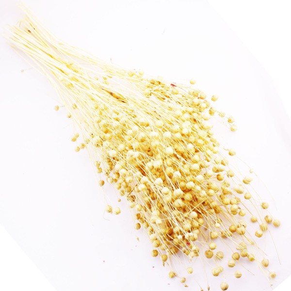 Kervan Kuru Çiçek Doğal Kurutulmuş Keten  Otu Çiçeği 35 GR (1 Demet)  Natural