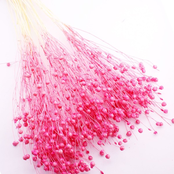 Kervan Kuru Çiçek Doğal Kurutulmuş Keten  Otu Çiçeği 35 GR (1 Demet)  Pembe