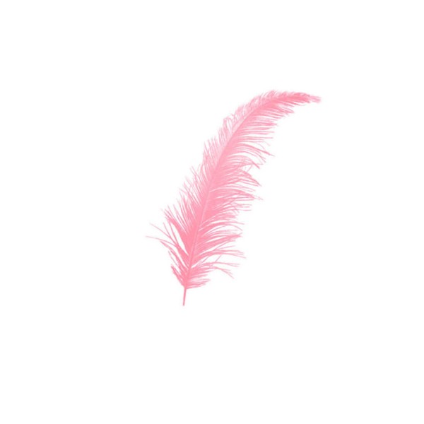 Kervan Renkli Tüy (100 Adet) Pembe Kervan Renkli Tüy (100 Adet) Pembe